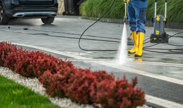 Best Graffiti Removal  in Mayflower Village, CA